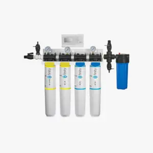 Basic + Kist Koruması