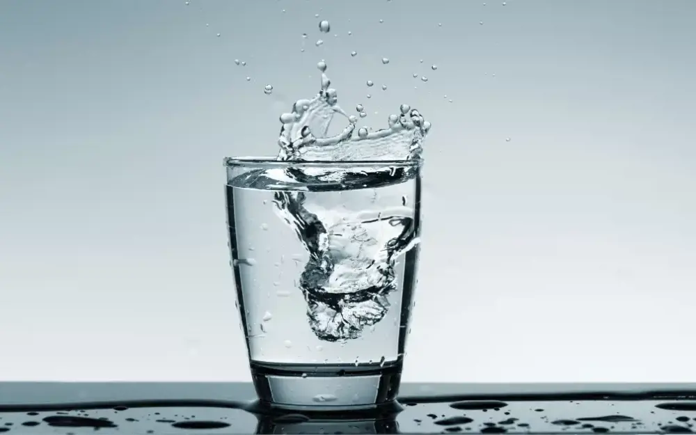 Sediment Filtre (Tortu Filtresi)